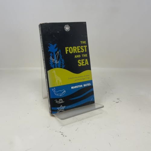 Forest and the Sea