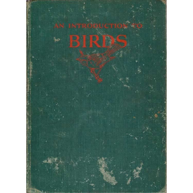 An Introduction to Birds