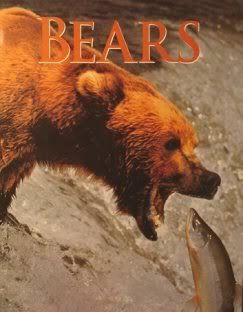 Bears