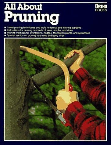 All About Pruning