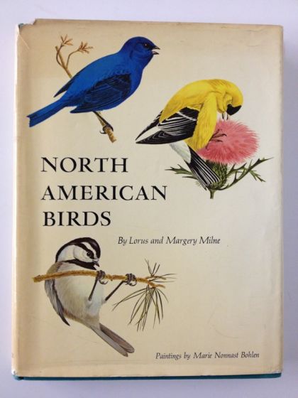 North American Birds