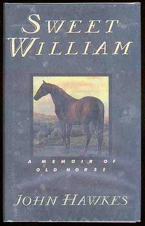 Sweet William