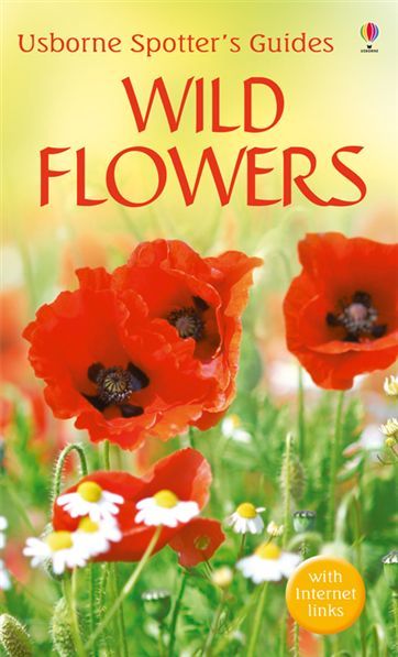 Flowers (Usborne Spotter's Guides)