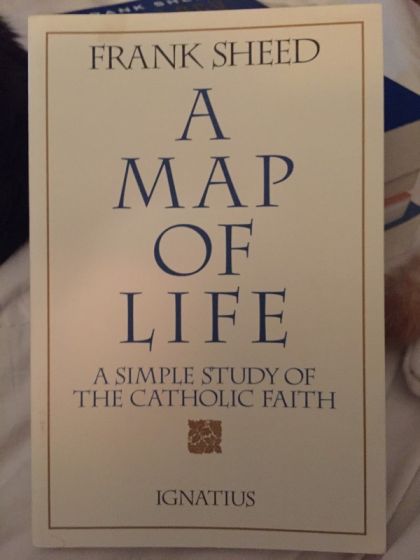 Map of Life