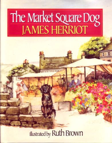 Market Square Dog