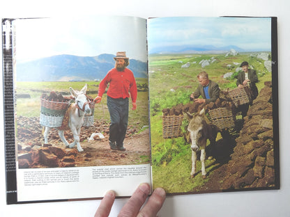 e82cb568-81f1-488c-8755-29e9616a00ff