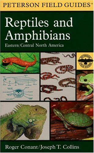 Field Guide to Reptiles & Amphibians of Eastern & Central North America (Peterson Field Guide Series)